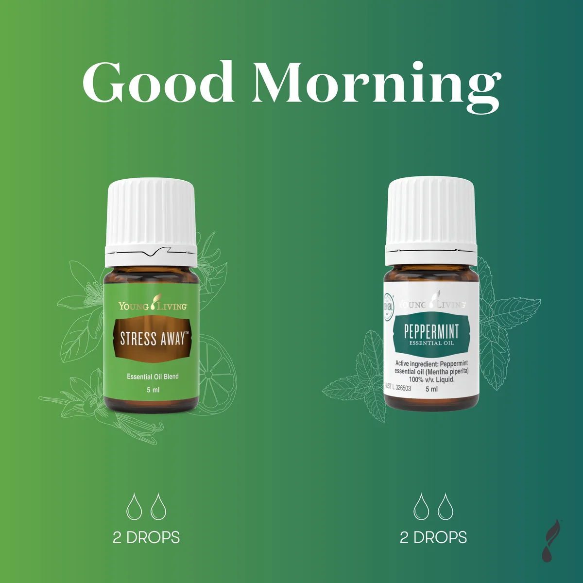 Good Morning diffuser blend with essential oil bottles
