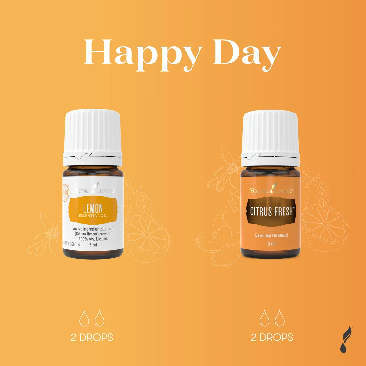 Happy Day diffuser blend with essential oil bottles