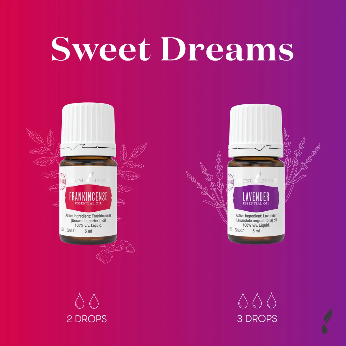 Sweet Dreams diffuser blend with essential oil bottles