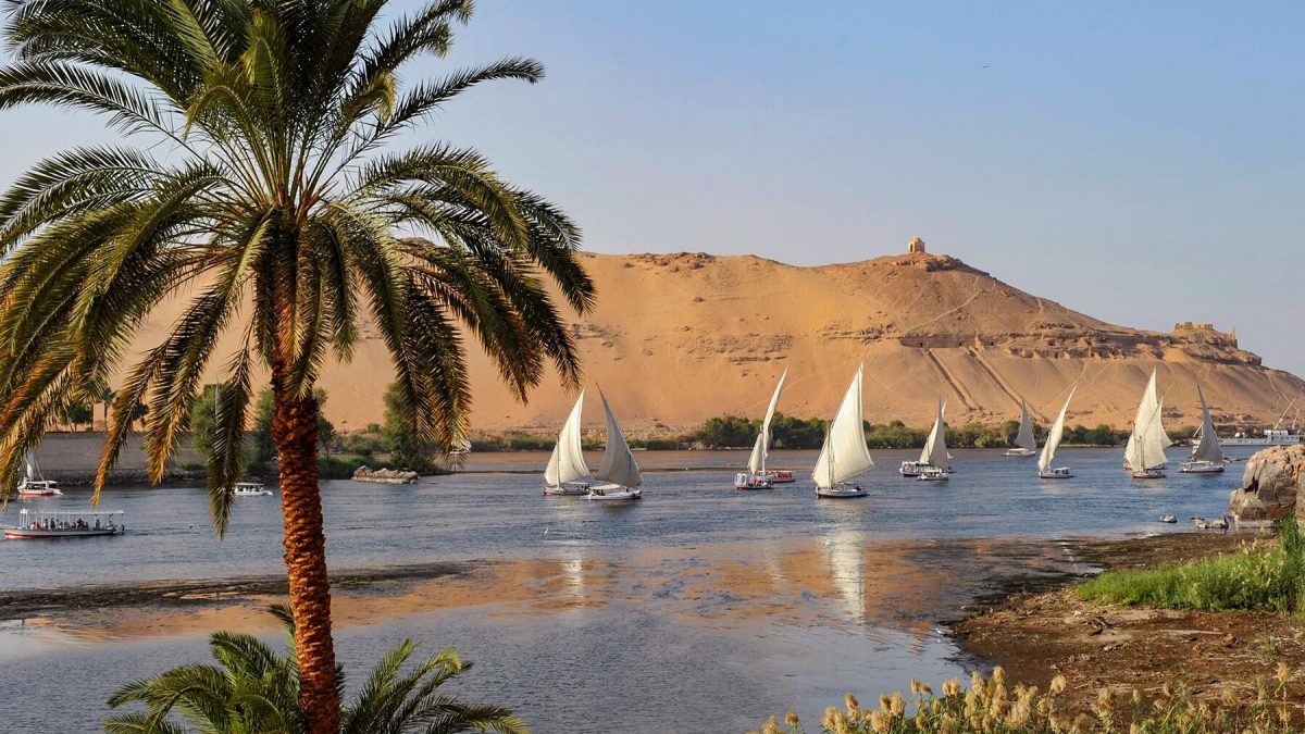 Feluccas sailing along the Nile with palms and desert hills