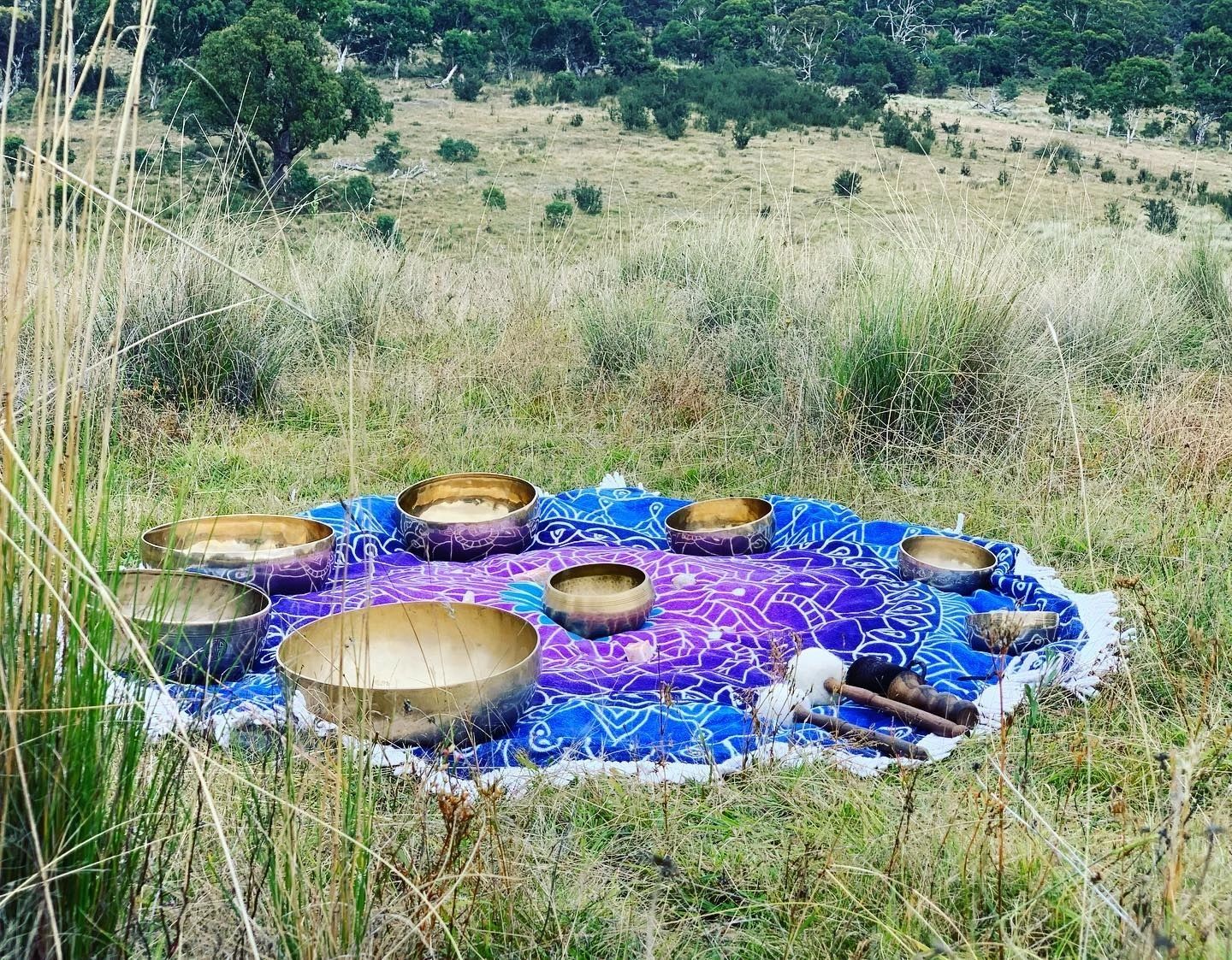 Tibetan singing bowls arranged outdoors in the Tasmanian landscape