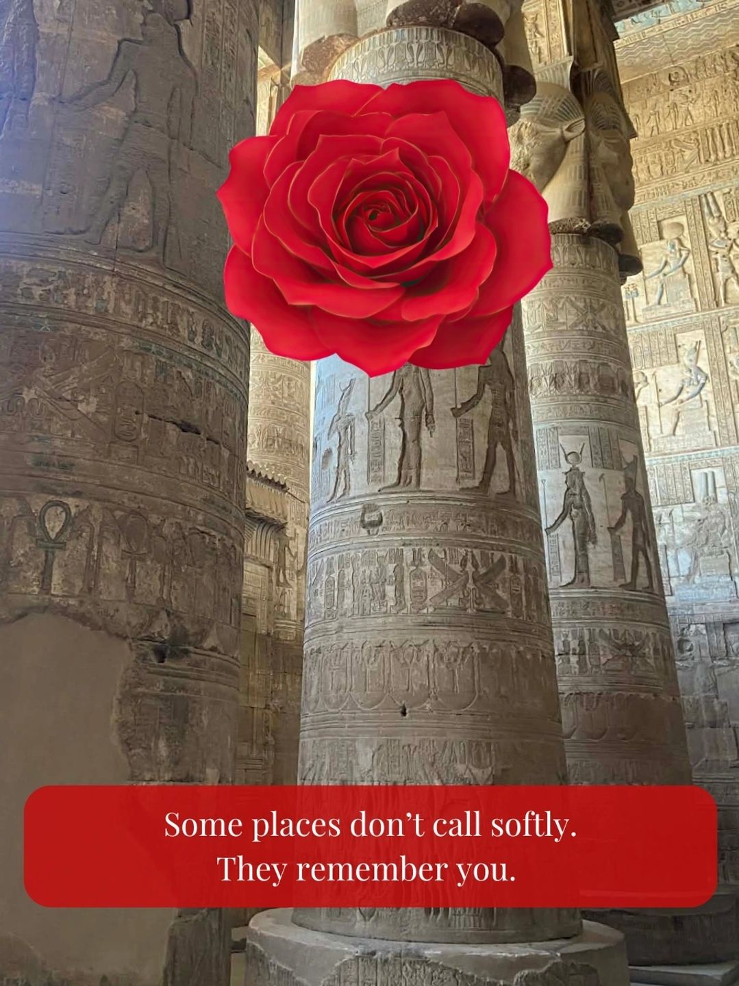 Ancient Egyptian columns with a red rose and remembrance quote